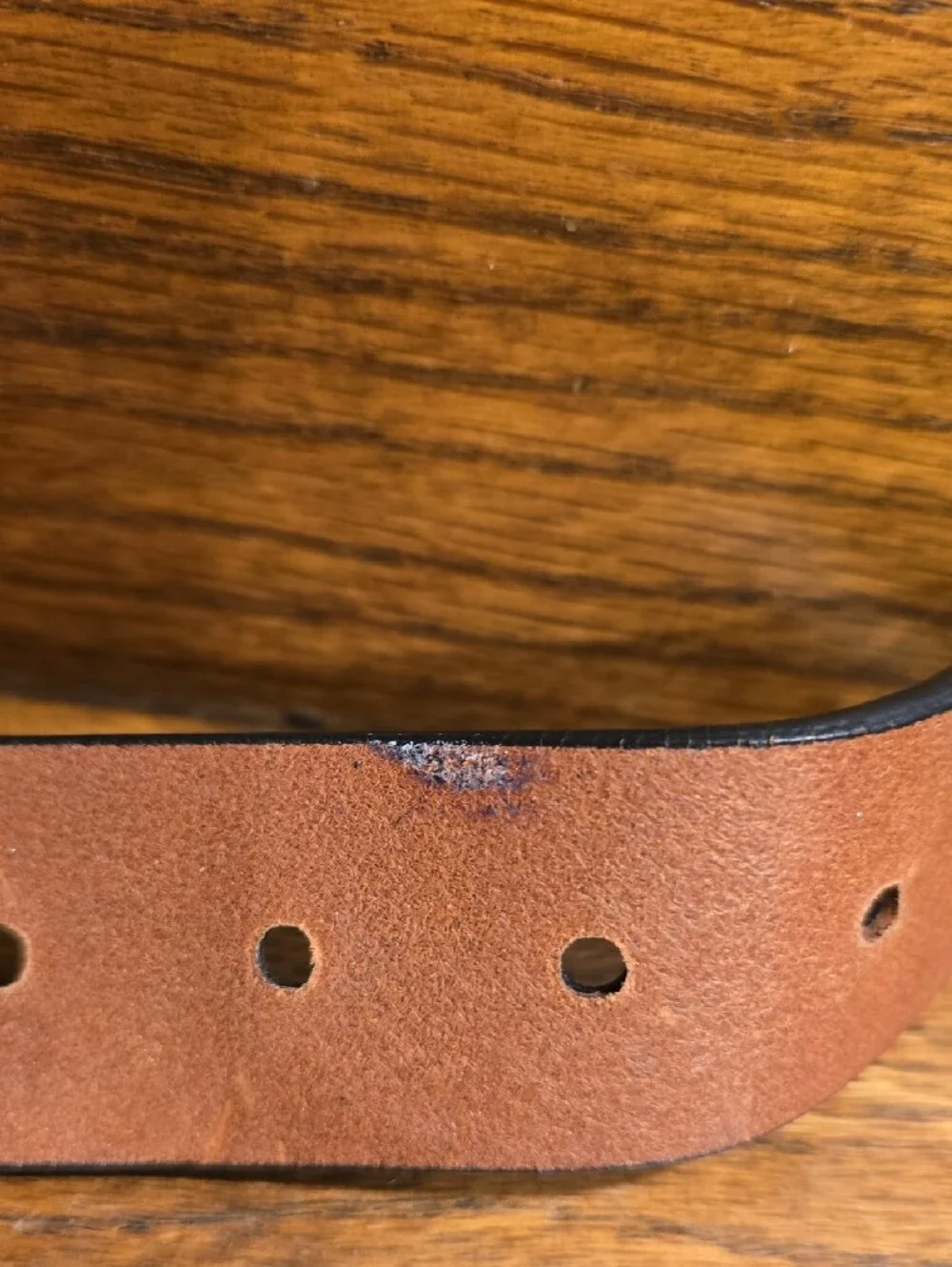 Michael Kors Black and Brown Perforated Leather Belt with Silver Buckle